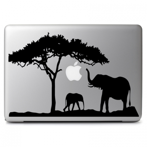Adesivo decalcomania laptop